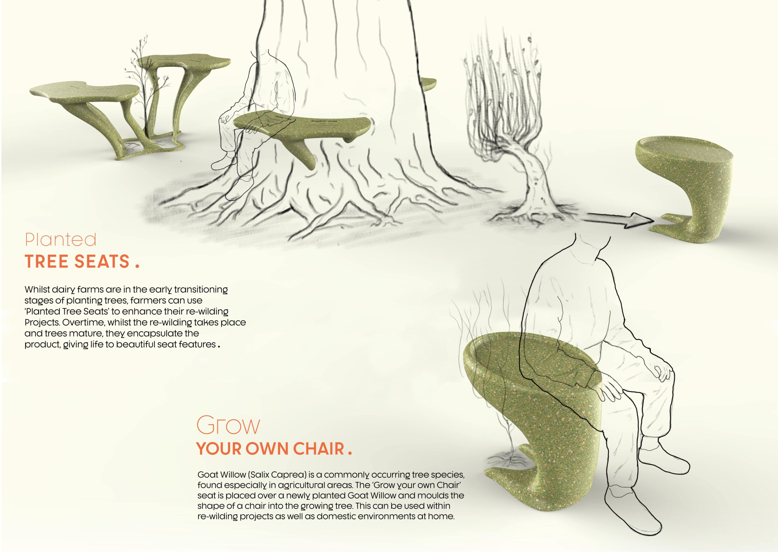 Benefits of the Tree Seat & Grow Your Own Chair